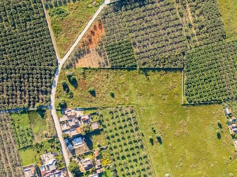 Terreno Gibellina Verde Speranza - tradizione e qualità della produzione siciliana