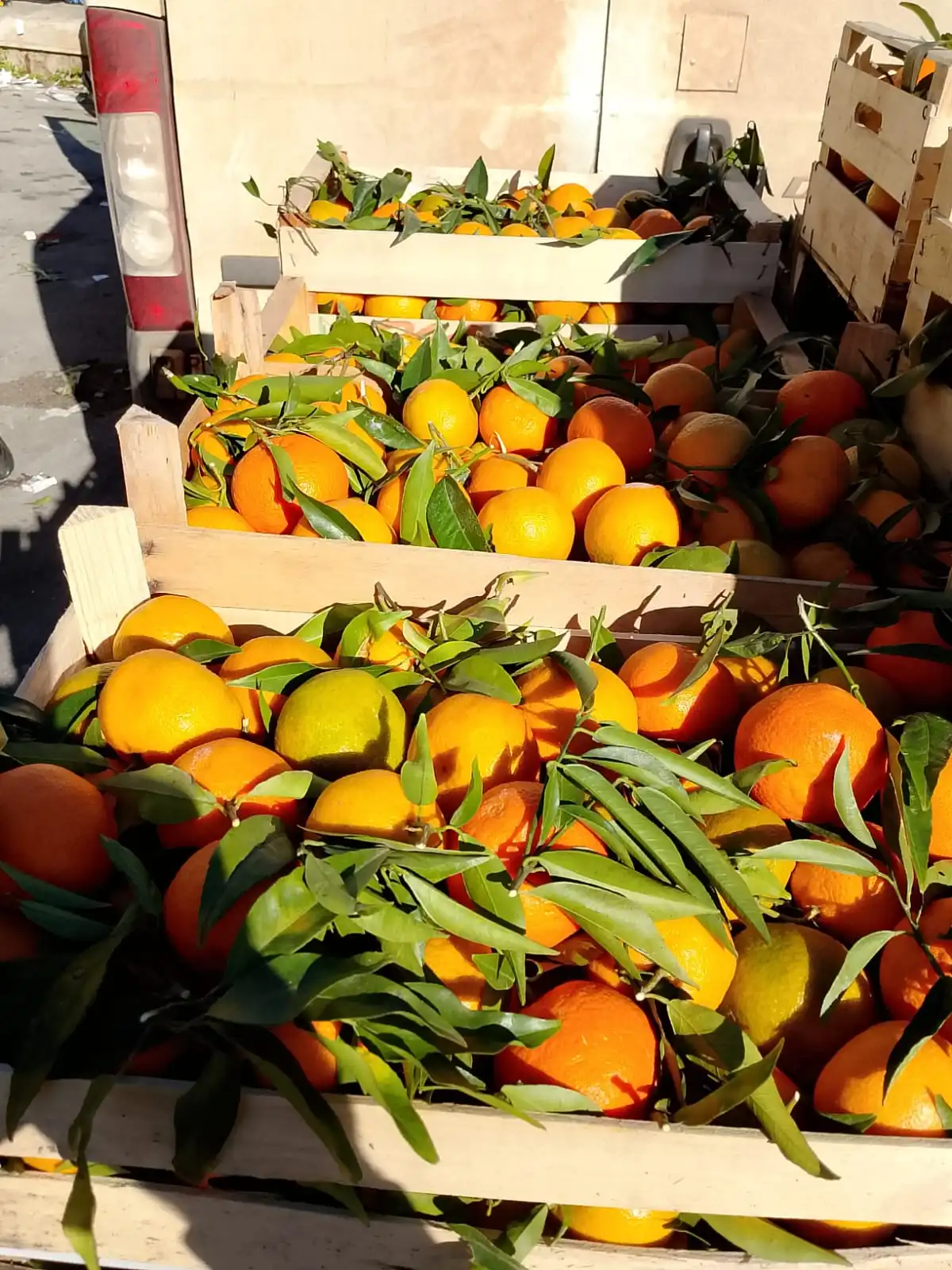 Arance siciliane IGP Verde Speranza succose e profumate